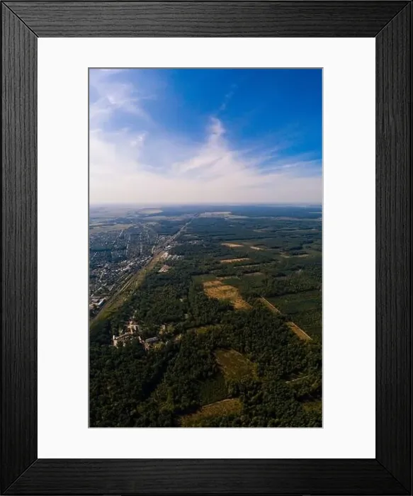 Framed Print : Local deforestation, aerial deforestation areas, Ukrainian forests and their destruction. new Framed Print : Local deforestation, aerial deforestation areas, Ukrainian forests and their destruction. new