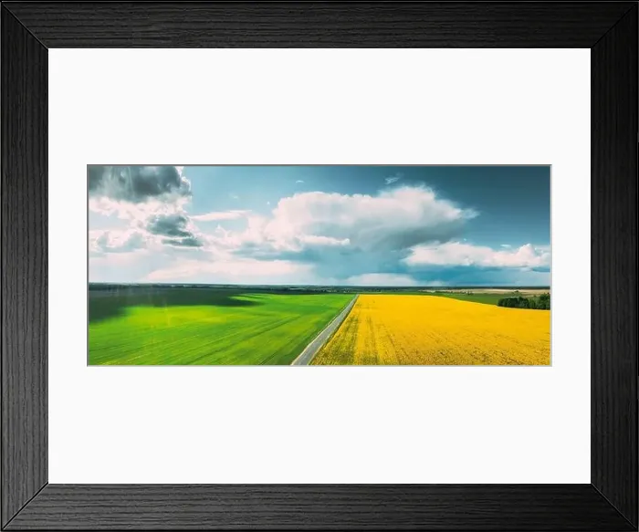 Framed Print : Aerial View Of Agricultural Landscape With Flowering Blooming Rapeseed Framed Print : Aerial View Of Agricultural Landscape With Flowering Blooming Rapeseed