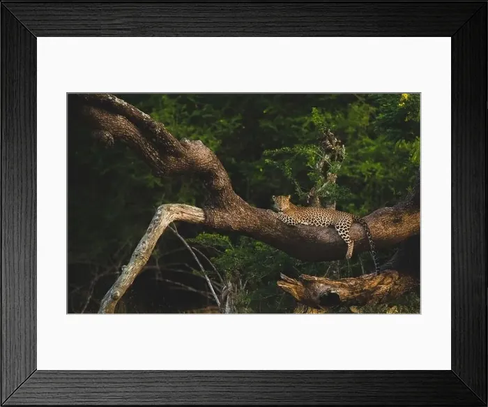 Framed Print : Sri Lanka Beauty Framed Print : Sri Lanka Beauty