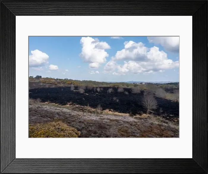 Framed Print : Drone view of recent arson attack at Waldridge Fell Framed Print : Drone view of recent arson attack at Waldridge Fell