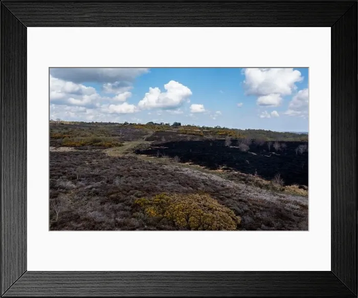 Framed Print : Drone view of recent arson attack at Waldridge Fell Framed Print : Drone view of recent arson attack at Waldridge Fell