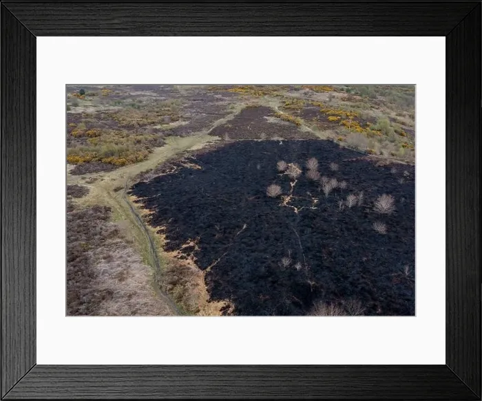 Framed Print : Drone view of recent arson attack at Waldridge Fell Framed Print : Drone view of recent arson attack at Waldridge Fell