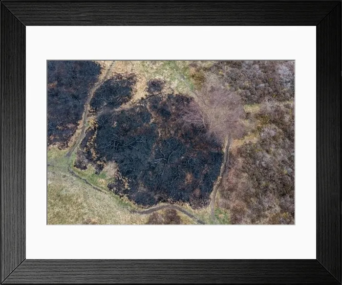 Framed Print : Drone view of recent arson attack at Waldridge Fell Framed Print : Drone view of recent arson attack at Waldridge Fell