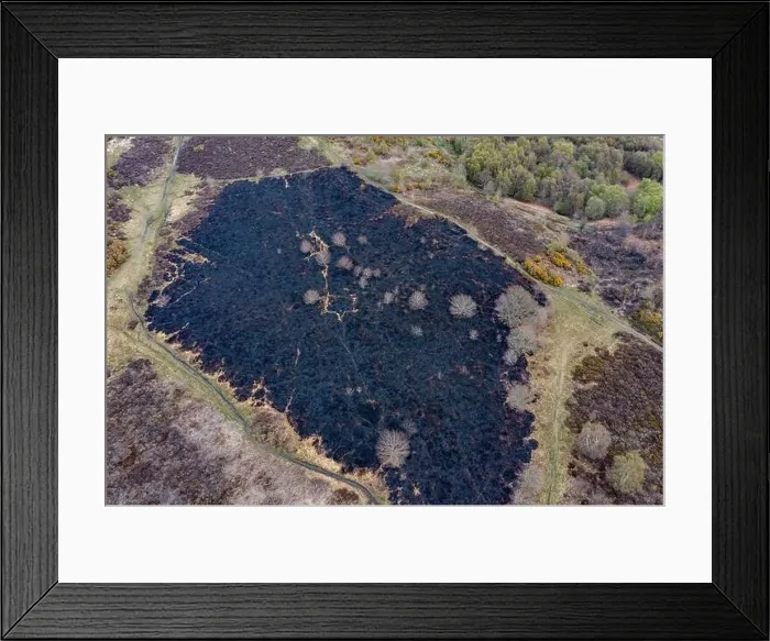 Framed Print : Drone view of recent arson attack at Waldridge Fell Framed Print : Drone view of recent arson attack at Waldridge Fell
