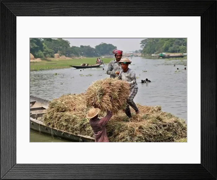 Framed Print : Kishoreganj, Bangladesh - May 01 Framed Print : Kishoreganj, Bangladesh - May 01