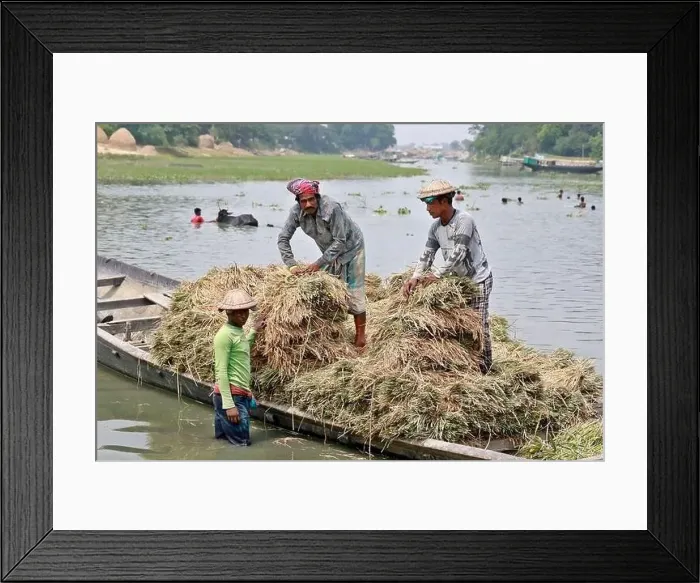 Framed Print : Kishoreganj, Bangladesh - May 01 Framed Print : Kishoreganj, Bangladesh - May 01