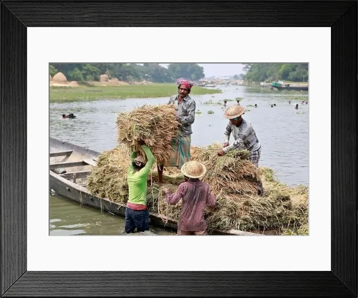 Framed Print : Kishoreganj, Bangladesh - May 01 Framed Print : Kishoreganj, Bangladesh - May 01