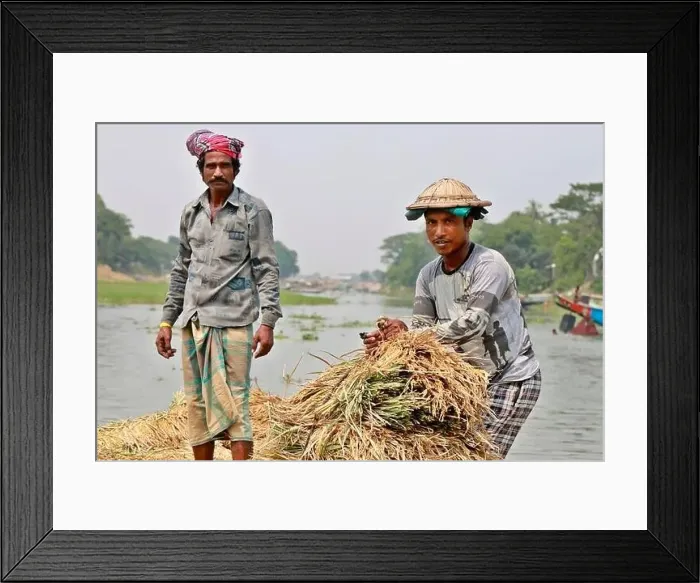 Framed Print : Kishoreganj, Bangladesh - May 01 Framed Print : Kishoreganj, Bangladesh - May 01