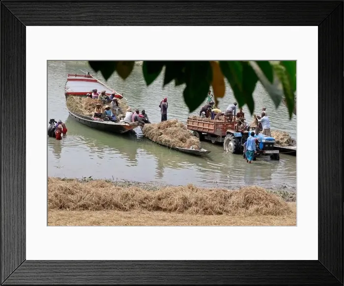 Framed Print : Kishoreganj, Bangladesh - May 01 Framed Print : Kishoreganj, Bangladesh - May 01