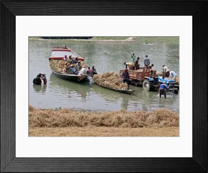 Framed Print : Kishoreganj, Bangladesh - May 01 Framed Print : Kishoreganj, Bangladesh - May 01