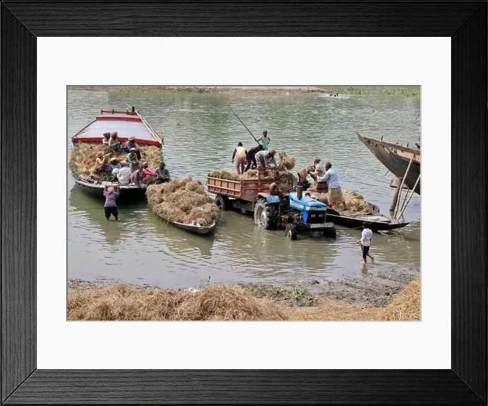 Framed Print : Kishoreganj, Bangladesh - May 01 Framed Print : Kishoreganj, Bangladesh - May 01