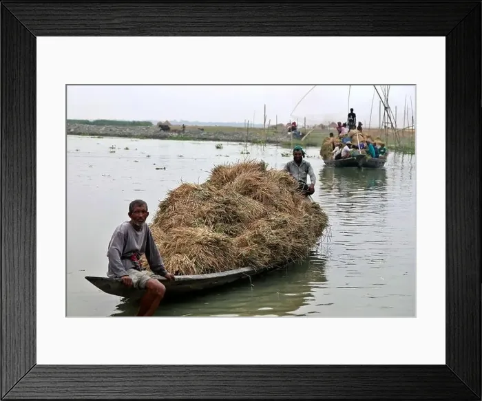 Framed Print : Kishoreganj, Bangladesh - May 01 Framed Print : Kishoreganj, Bangladesh - May 01