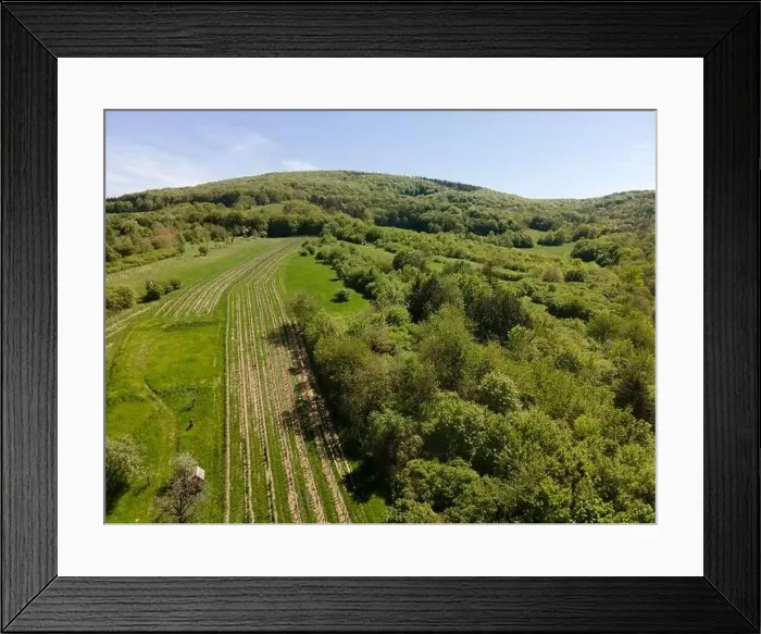 Framed Print : aerial drone flight photo of green hills, meadows and fresh forest in Lower Austria at the edge of Vienna Woods Framed Print : aerial drone flight photo of green hills, meadows and fresh forest in Lower Austria at the edge of Vienna Woods