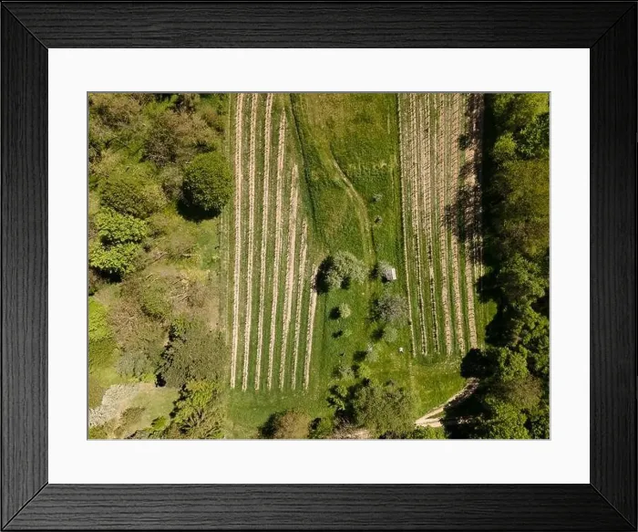 Framed Print : aerial drone flight photo of green hills, meadows and fresh forest in Lower Austria at the edge of Vienna Woods Framed Print : aerial drone flight photo of green hills, meadows and fresh forest in Lower Austria at the edge of Vienna Woods