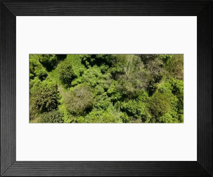 Framed Print : aerial drone flight photo of green hills, meadows and fresh forest in Lower Austria at the edge of Vienna Woods Framed Print : aerial drone flight photo of green hills, meadows and fresh forest in Lower Austria at the edge of Vienna Woods