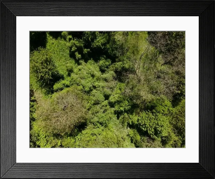 Framed Print : aerial drone flight photo of green hills, meadows and fresh forest in Lower Austria at the edge of Vienna Woods Framed Print : aerial drone flight photo of green hills, meadows and fresh forest in Lower Austria at the edge of Vienna Woods