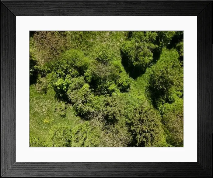 Framed Print : aerial drone flight photo of green hills, meadows and fresh forest in Lower Austria at the edge of Vienna Woods Framed Print : aerial drone flight photo of green hills, meadows and fresh forest in Lower Austria at the edge of Vienna Woods