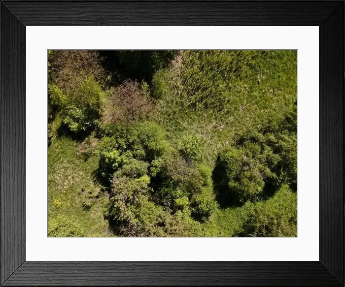 Framed Print : aerial drone flight photo of green hills, meadows and fresh forest in Lower Austria at the edge of Vienna Woods Framed Print : aerial drone flight photo of green hills, meadows and fresh forest in Lower Austria at the edge of Vienna Woods