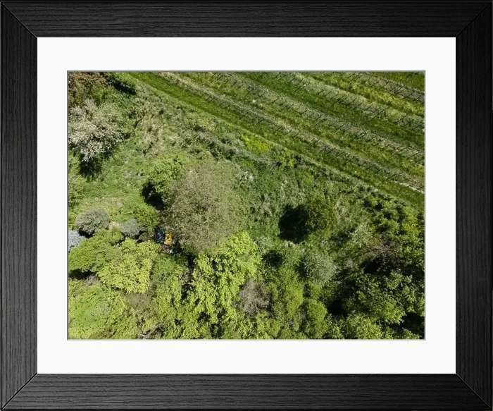 Framed Print : aerial drone flight photo of green hills, meadows and fresh forest in Lower Austria at the edge of Vienna Woods Framed Print : aerial drone flight photo of green hills, meadows and fresh forest in Lower Austria at the edge of Vienna Woods