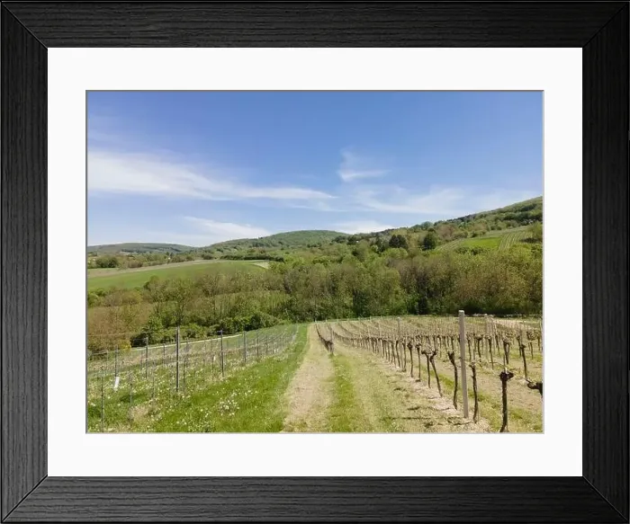 Framed Print : aerial drone flight photo of green hills, meadows and fresh forest in Lower Austria at the edge of Vienna Woods Framed Print : aerial drone flight photo of green hills, meadows and fresh forest in Lower Austria at the edge of Vienna Woods