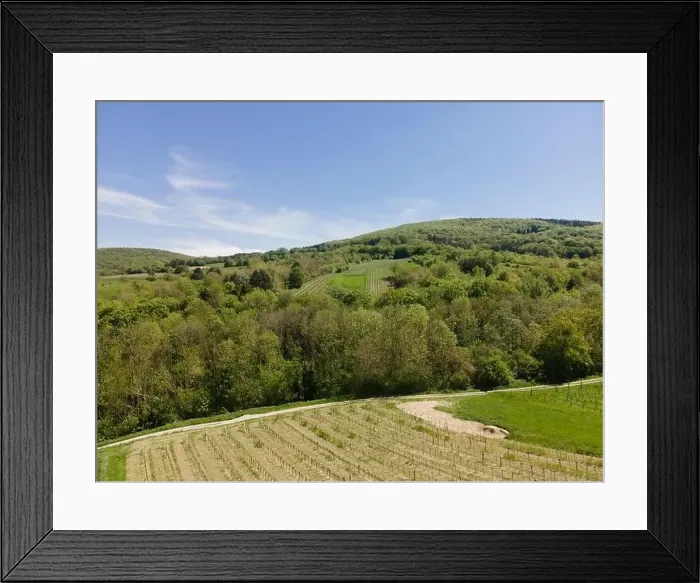 Framed Print : aerial drone flight photo of green hills, meadows and fresh forest in Lower Austria at the edge of Vienna Woods Framed Print : aerial drone flight photo of green hills, meadows and fresh forest in Lower Austria at the edge of Vienna Woods