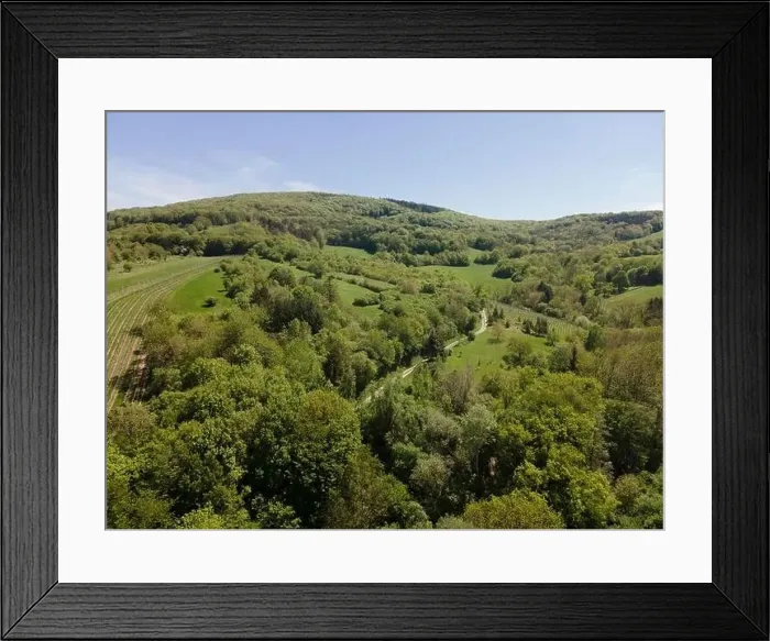 Framed Print : aerial drone flight photo of green hills, meadows and fresh forest in Lower Austria at the edge of Vienna Woods Framed Print : aerial drone flight photo of green hills, meadows and fresh forest in Lower Austria at the edge of Vienna Woods