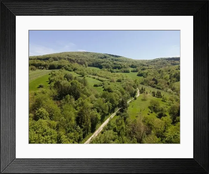 Framed Print : aerial drone flight photo of green hills, meadows and fresh forest in Lower Austria at the edge of Vienna Woods