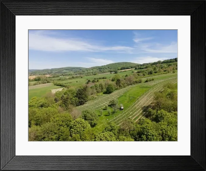 Framed Print : aerial drone flight photo of green hills, meadows and fresh forest in Lower Austria at the edge of Vienna Woods Framed Print : aerial drone flight photo of green hills, meadows and fresh forest in Lower Austria at the edge of Vienna Woods