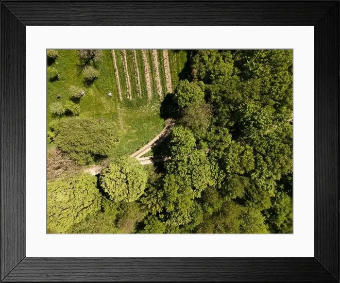 Framed Print : aerial drone flight photo of green hills, meadows and fresh forest in Lower Austria at the edge of Vienna Woods Framed Print : aerial drone flight photo of green hills, meadows and fresh forest in Lower Austria at the edge of Vienna Woods