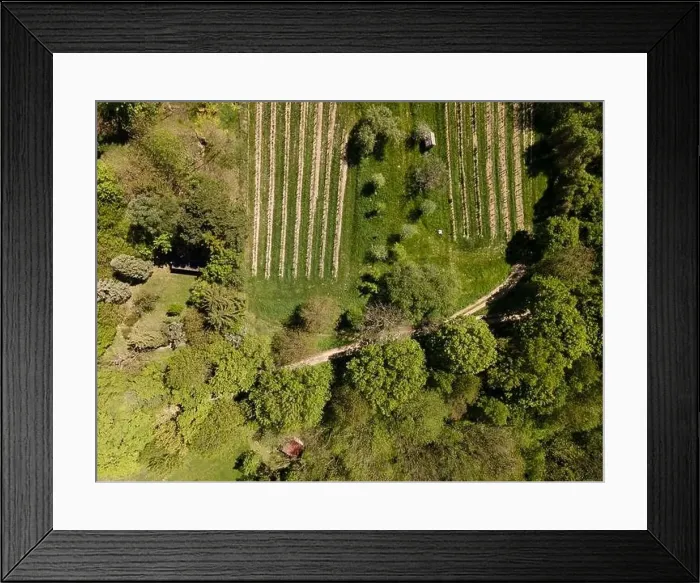 Framed Print : aerial drone flight photo of green hills, meadows and fresh forest in Lower Austria at the edge of Vienna Woods Framed Print : aerial drone flight photo of green hills, meadows and fresh forest in Lower Austria at the edge of Vienna Woods