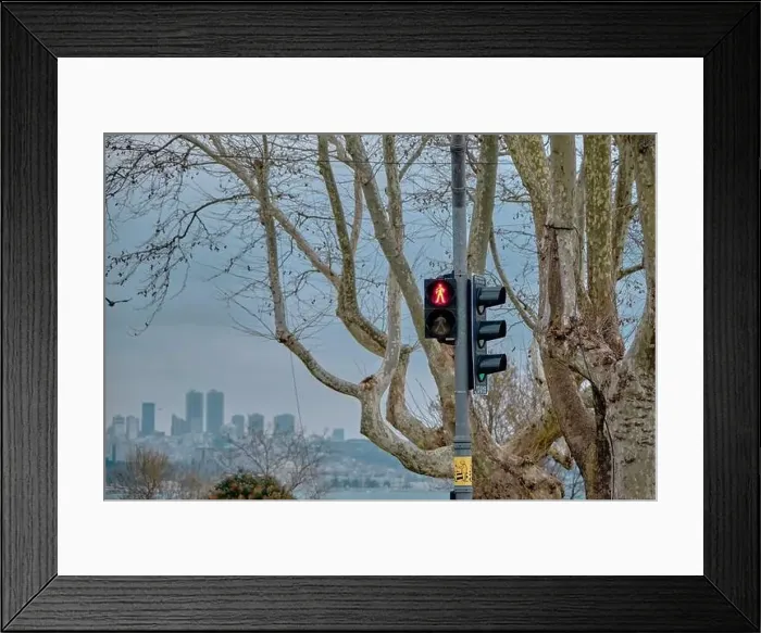 Framed Print : street and traffic lamp pedestrian Framed Print : street and traffic lamp pedestrian