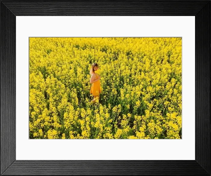 Framed Print : Aerial view of attractive woman at blooming rapeseed field. Yellow flowers and happy woman Framed Print : Aerial view of attractive woman at blooming rapeseed field. Yellow flowers and happy woman