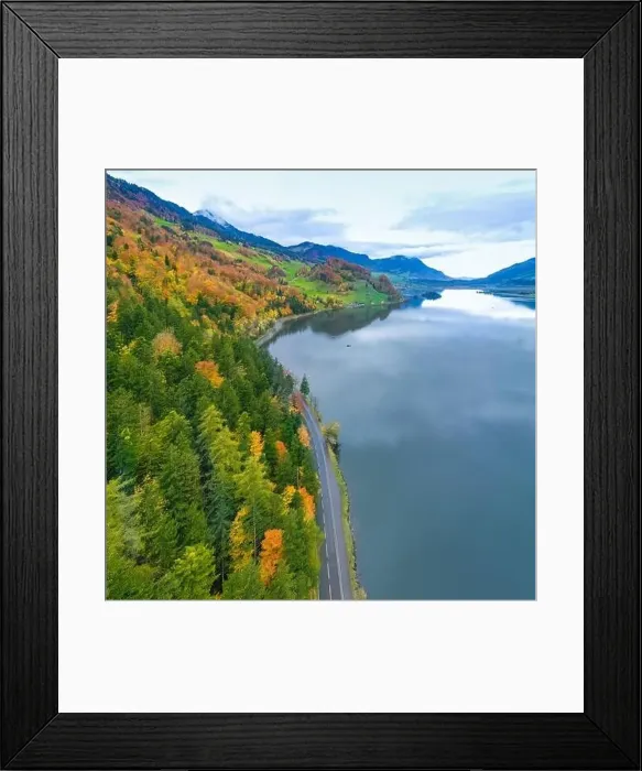 Framed Print : The road along the lake. Forest. Aerial view Framed Print : The road along the lake. Forest. Aerial view