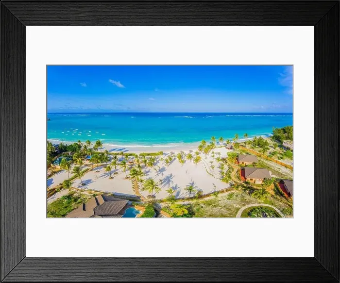 Framed Print : Aerial view of palms on the sandy beach of Indian Ocean at sunny day