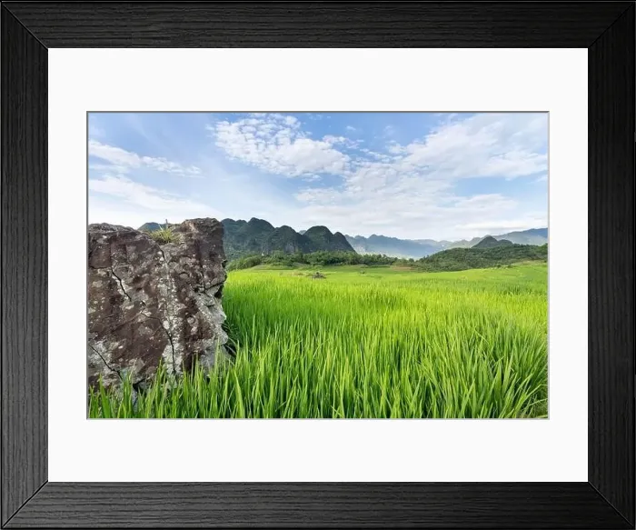 Framed Print : Panoramic view of beautiful green terraces of Pu Luong commune, Thanh Hoa province, Vietnam Framed Print : Panoramic view of beautiful green terraces of Pu Luong commune, Thanh Hoa province, Vietnam