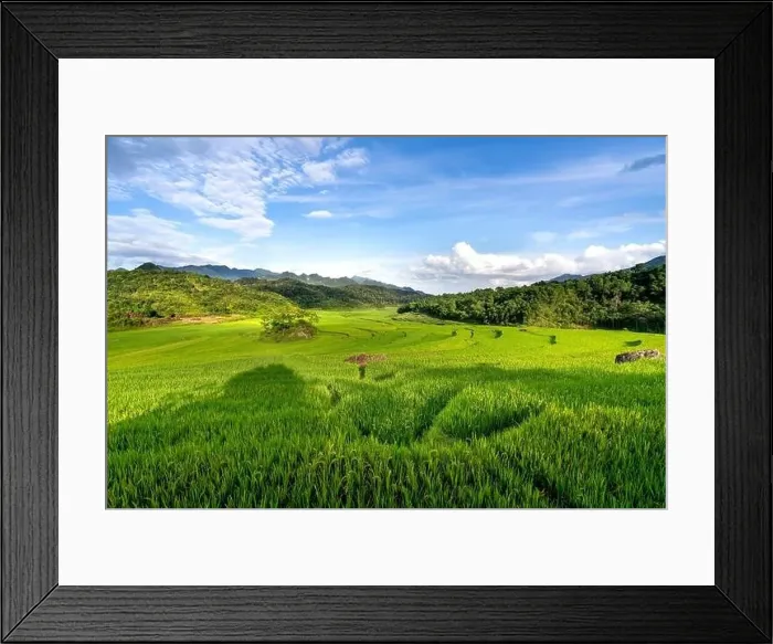 Framed Print : Panoramic view of beautiful green terraces of Pu Luong commune, Thanh Hoa province, Vietnam Framed Print : Panoramic view of beautiful green terraces of Pu Luong commune, Thanh Hoa province, Vietnam