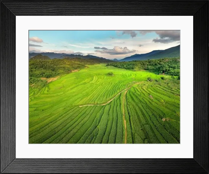 Framed Print : Panoramic view of beautiful green terraces of Pu Luong commune, Thanh Hoa province, Vietnam Framed Print : Panoramic view of beautiful green terraces of Pu Luong commune, Thanh Hoa province, Vietnam