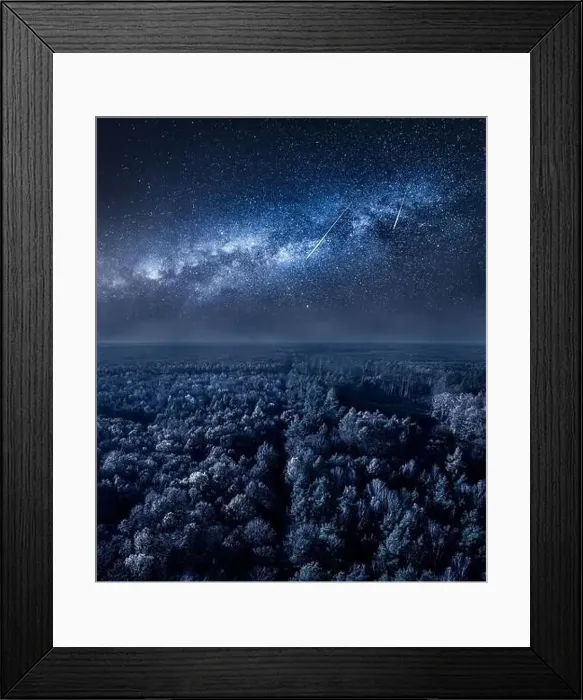 Framed Print : Milky way over forest at night. Wildlife in Poland. Nature in Europe at night Framed Print : Milky way over forest at night. Wildlife in Poland. Nature in Europe at night
