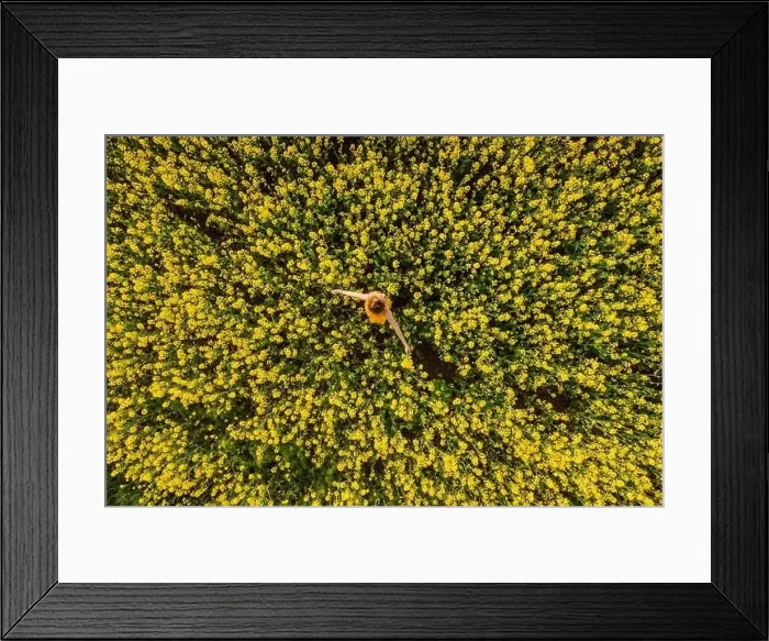 Framed Print : Aerial view of woman at blooming rapeseed field. Yellow flowers and happy woman. Top view Framed Print : Aerial view of woman at blooming rapeseed field. Yellow flowers and happy woman. Top view