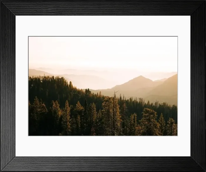 Framed Print : From above wonderful landscape with crowns of tall evergreen trees against foggy highland at horizon in Sequoia Framed Print : From above wonderful landscape with crowns of tall evergreen trees against foggy highland at horizon in Sequoia