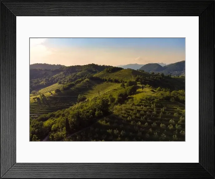 Framed Print : Aerial panorama of Montevecchia beautiful terraces of the lombardy countryside at sunset Framed Print : Aerial panorama of Montevecchia beautiful terraces of the lombardy countryside at sunset