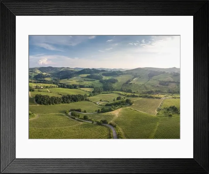 Framed Print : Aerial view of countryside with vineyards hills and woods in Oltrepo Pavese with road bends Framed Print : Aerial view of countryside with vineyards hills and woods in Oltrepo Pavese with road bends