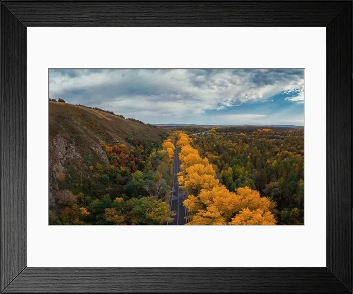 Framed Print : Aerial view of road in beautiful autumn Altai forest Framed Print : Aerial view of road in beautiful autumn Altai forest