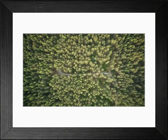 Framed Print : Rural road in forest at sunset time aerial above top drone view Framed Print : Rural road in forest at sunset time aerial above top drone view