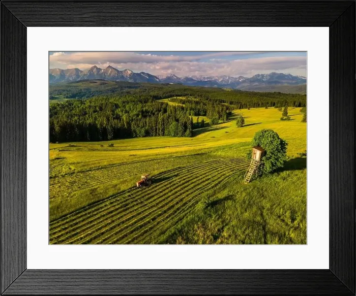 Framed Print : Haymaking in Meadows in Lapszanka with High Tatras Mountains in background Framed Print : Haymaking in Meadows in Lapszanka with High Tatras Mountains in background