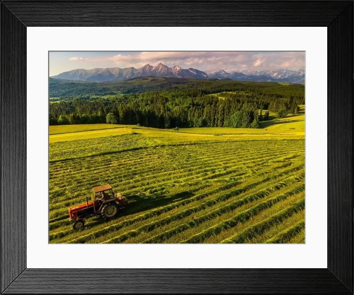 Framed Print : Summer Haymaking in Rural Countrysidde in High Tatras in Poland Framed Print : Summer Haymaking in Rural Countrysidde in High Tatras in Poland