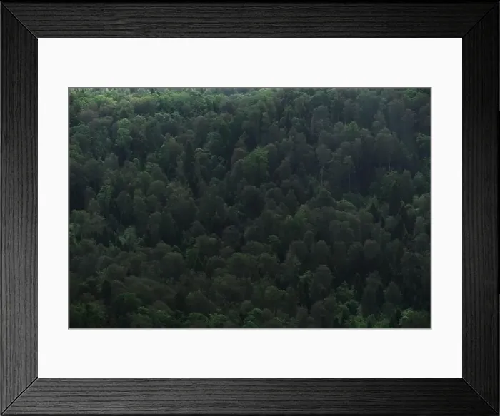 Framed Print : Beautiful screensaver of coniferous and deciduous forests in Caucasus mountains Framed Print : Beautiful screensaver of coniferous and deciduous forests in Caucasus mountains