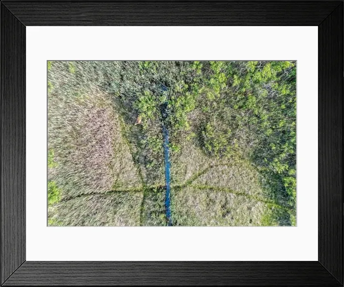 Framed Print : Aerial view of a landscape with animal trails and a deer Framed Print : Aerial view of a landscape with animal trails and a deer