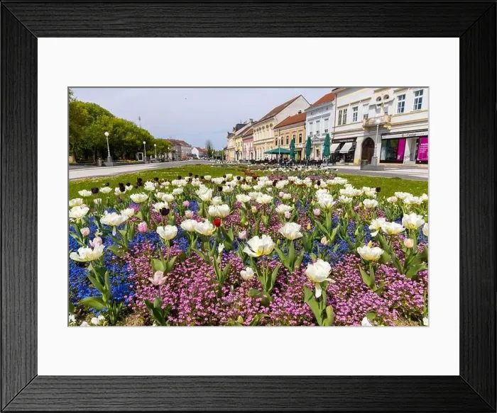 Framed Print : Centre of Koprivnica town in Croatia Framed Print : Centre of Koprivnica town in Croatia