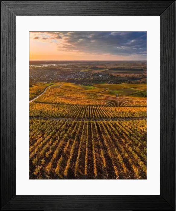 Framed Print : Tokaj, Hungary - Aerial panoramic view of the world famous Hungarian vineyards of Tokaj wine region with town of Tokaj Framed Print : Tokaj, Hungary - Aerial panoramic view of the world famous Hungarian vineyards of Tokaj wine region with town of Tokaj